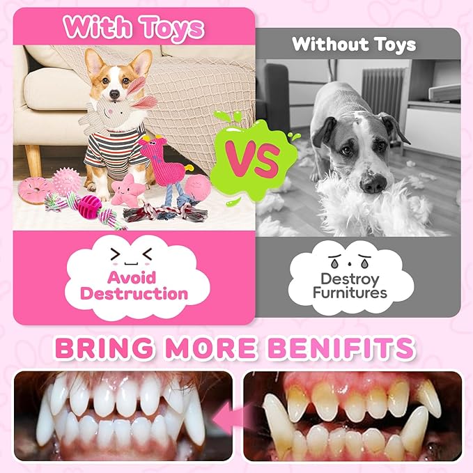 8 Pack Luxury Puppy Toys for Teething Small Dogs, Puppy Chew Toys with Squeaky Dog Toys, Balls and Rope Dog Chew Toys, Dog Toys to Keep Them Busy (Pink, 8-Pack)