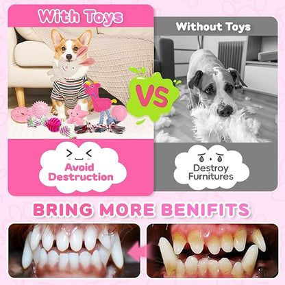 8 Pack Luxury Puppy Toys for Teething Small Dogs, Puppy Chew Toys with Squeaky Dog Toys, Balls and Rope Dog Chew Toys, Dog Toys to Keep Them Busy (Pink, 8-Pack)