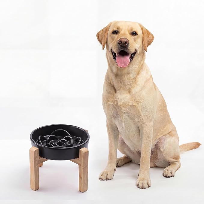 Ceramic Slow FeederDog Bowl for Medium Large Dogs,Heavy Weighted,Puzzle Eating Bowl Modern Maze (Black, 8.66in)