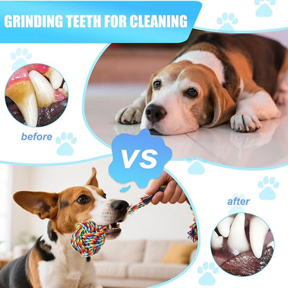 Celery Tough Dog Toys for Aggressive chewers - 4 Pack Durable Cotton Rope chew Toys for Large Dogs and Medium, Interactive tug of War, Teeth Cleaning, Puppy Training and Fetch Play