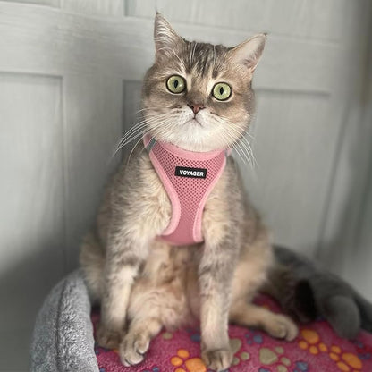 Best Pet Supplies Voyager Step-in Air Harness - All Weather Mesh, Reflective, No Pull Harness for Dogs, Cats - Secure with Hook & Loop Fastener, Buckle, Double D-Rings - Pink, XL