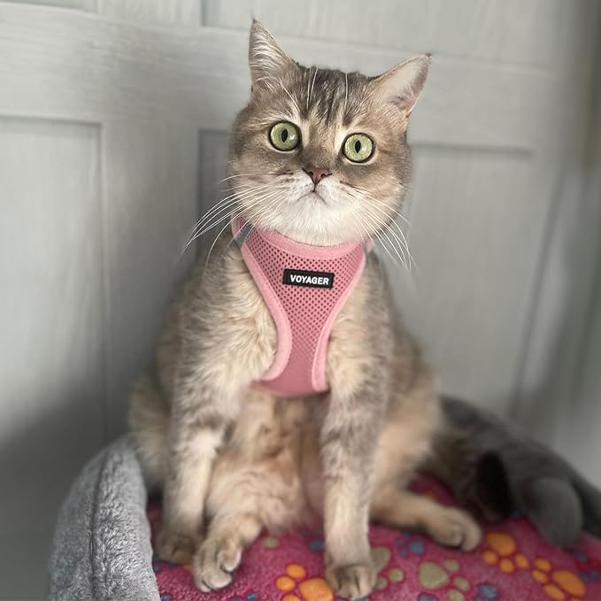 Best Pet Supplies Voyager Step-in Air Harness - All Weather Mesh, Reflective, No Pull Harness for Dogs, Cats - Secure with Hook & Loop Fastener, Buckle, Double D-Rings - Pink, XXXS
