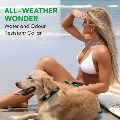 Black Rhino Extra Large Dog Collars - Adjustable Reflective Heavy Duty Wide Dog Collar with Ultra-Soft Neoprene Padding - Weatherproof, Durable, and Comfortable for Active Dogs - Green and Black