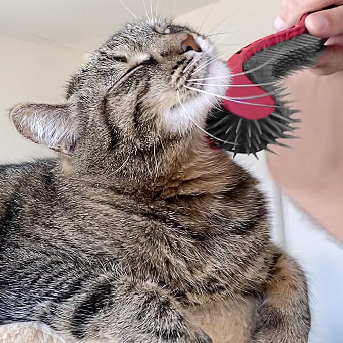 Cat Brush, Pink. Designed for Comfort, Created for Cats and Dogs. Ergonomic shape promotes stress free grooming. Great for long to short haired cats. Made in the USA