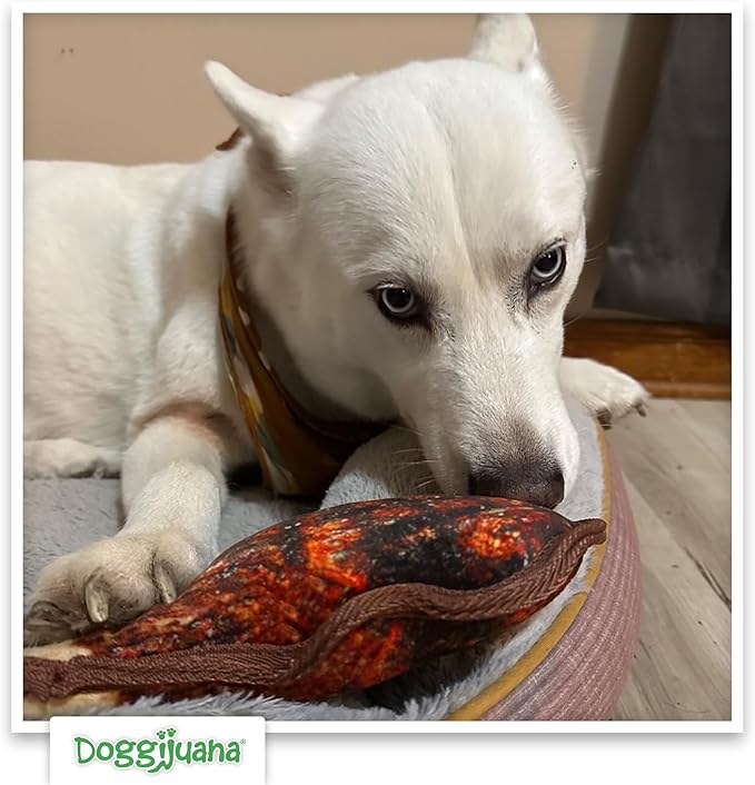 Doggijuana | Tuffer Chewer - Interactive Dog Toy with Juananip Refill | Refillable Durable Dog Toy for Engaging Play and Natural Calming (Tomahawk Steak Toy)