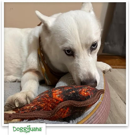 Doggijuana | Tuffer Chewer - Interactive Dog Toy with Juananip Refill | Refillable Durable Dog Toy for Engaging Play and Natural Calming (Tomahawk Steak Toy)