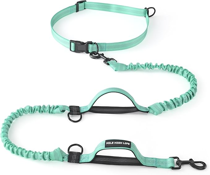 Mile High Life Hands Free Leash, Waist Leash for Dog Running Training and Jogging, Adjustable Belt with Double Padded Handle, Reflective Bungee for Medium Large Dogs (Teal, 7FT)