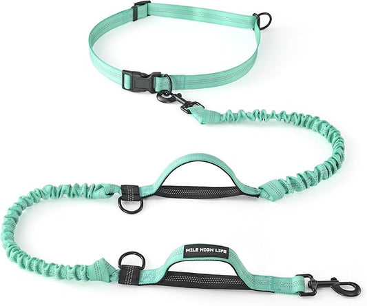 Mile High Life Hands Free Leash, Waist Leash for Dog Running Training and Jogging, Adjustable Belt with Double Padded Handle, Reflective Bungee for Medium Large Dogs (Teal, 7FT)