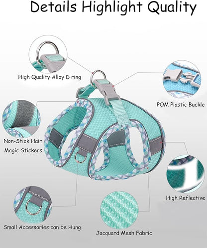 Petank Dog Harness for Small Medium Dogs No Pull, Puppy Harness and Leash Set, Step in Dog Harness for Walking, Running, Training, Small Dog Vest(Bule, S)