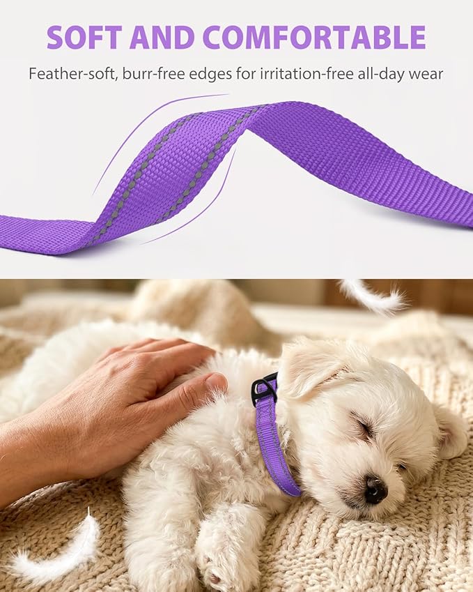 Joytale Small Dog Collar, Durable Double-Sided Reflective Nylon Collar for Night Safety, Adjustable Quick-Release for Active Breeds, Purple, S (3/4" Width)