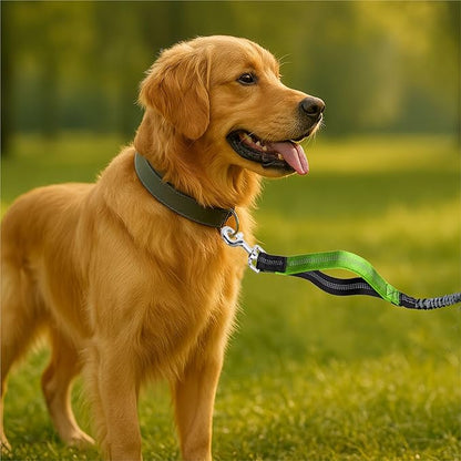Hands-Free Dog Leash for Dogs up to 130 lbs – Heavy-Duty, Shock-Absorbing Bungee Leash with Zipper Pouch, Dual Padded Handles & Adjustable Waist Belt for Running & Walking – Neon Green