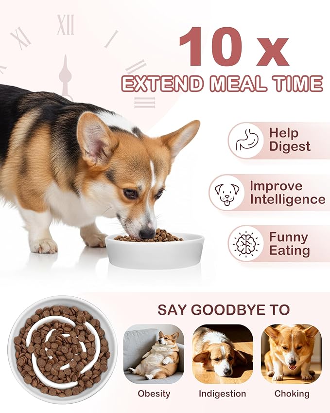 TRUVIC Ceramic Slow Feeder Dog Bowls, 1.5 Cup Puzzle Slow Feeder Bowls for Fast Eaters, Ceramic Dog Food Dish no Black Chin, Puzzle Bowl for Medium Dogs, White