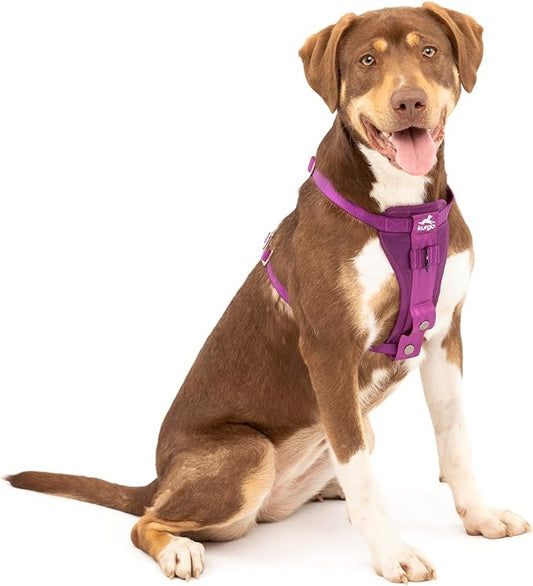 Kurgo Enhanced Strength Tru-Fit Dog Car Harness - Pet Travel Safety Harness - Crash Test Certified Fit - Five Point Adjustment - Secure Buckle - Padded Chest - Deep Violet - Medium