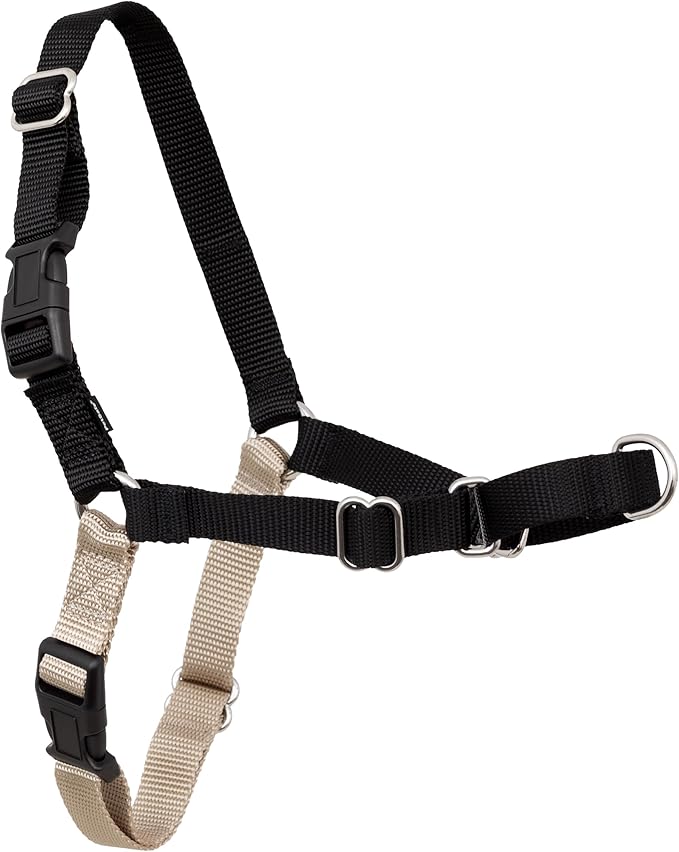 PetSafe Easy Walk No-Pull Dog Harness - The Ultimate Harness to Help Stop Pulling - Take Control & Teach Better Leash Manners - Helps Prevent Pets Pulling on Walks, Petite, Black/Silver