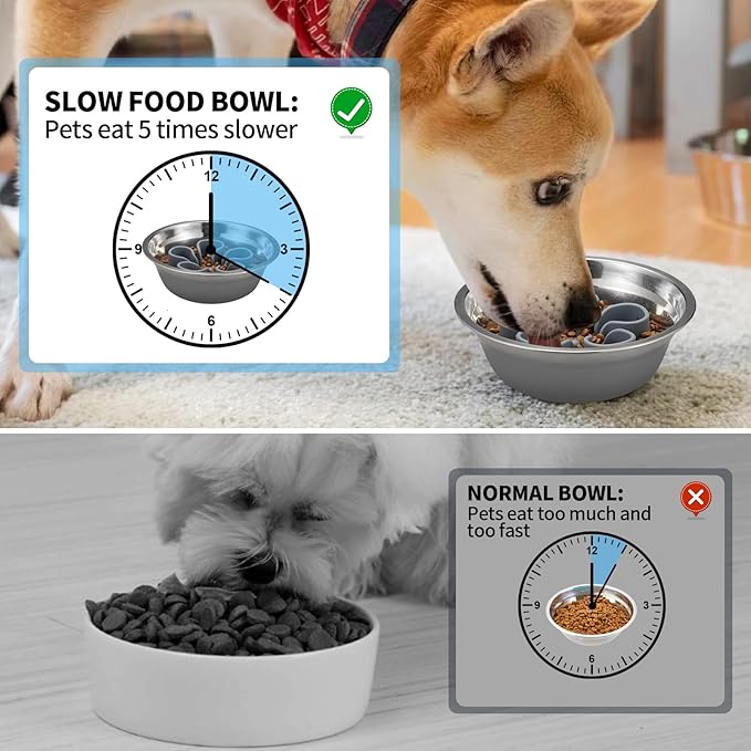 Slow Feeder Dog Bowls Insert, Bestalk Soft Silicone Slow Eating Dog Bowl Insert with Suction Cups for Small, Medium and Large Dogs(Grey M)