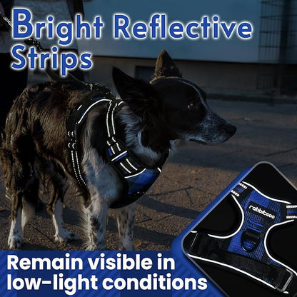 rabbitgoo Dog Harness No Pull with 2 Leash Clips, Adjustable Soft Padded, Reflective Oxford No Choke Pet Vest with Easy Control Handle for Large Dogs, Blue Plaid, L