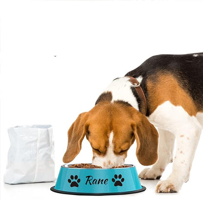 Personalized Name for Cat Dog Stainless Steel Colored Pet Puppy Cat Bowl Non-Slip Durable Pet Bowl Feeder Feeding Dog Water Bowl