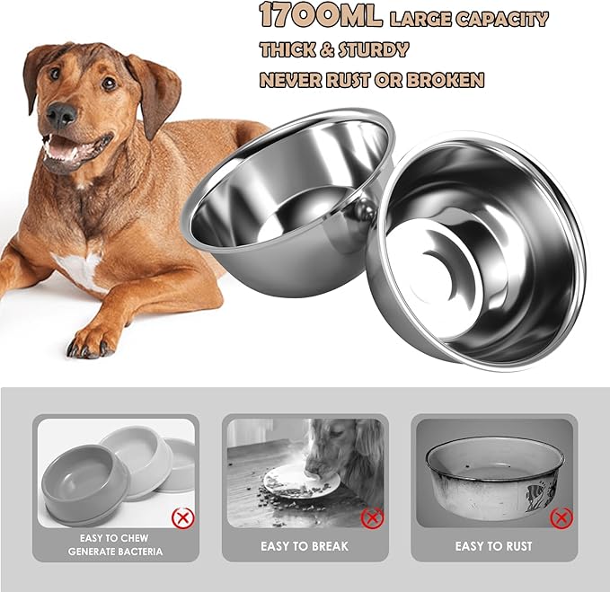 Raised Dog Bowl Stand for Large Dogs, 10” Tall Elevated Feeder with Spill-Proof Mat, Stainless Steel 58OZ Bowls for Food & Water, Gray Color (Mat Size: 16x24”)