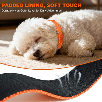 Taglory Reflective Dog Collar with Safety Locking Buckle, Soft Neoprene Padded Dog Collar for Puppy Dogs, Metal D-Ring, Adjustable Nylon Neck Strap for Daily Walking, Training & Running, Orange, XS