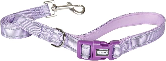 Reflective Nylon Dog Leash, Handle Padded with Neoprene, for Small Medium Large Dog.(S, Lilac Purple)