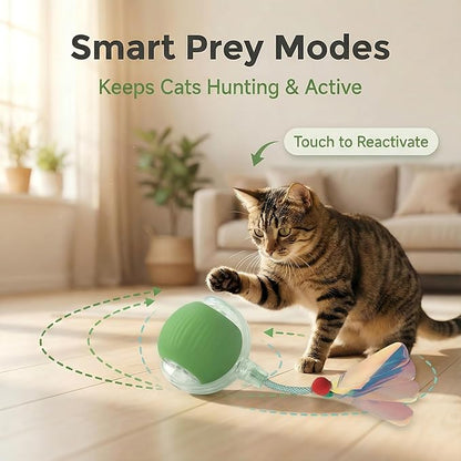 JBD Interactive Cat Toy Ball for Indoor Cats-Silent Automatic Rolling & Self Moving Electric Kitten Toys, USB Rechargeable Smart Ball with Tail, Motion Activated Hunting Exercise for Bored Cats Green
