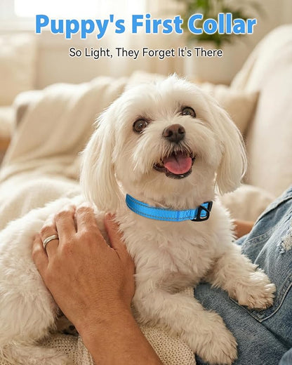 Joytale Dog Collars for Small Dogs, Feather-Light Double-Sided Reflective Nylon Collar for Night Safety, Adjustable Quick-Release for Growing Puppies, Sky Blue, S (5/8" Width)