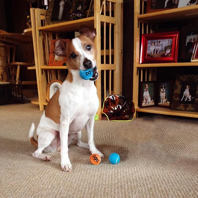 Small Tennis Balls for Dogs - 6 Pack 2.0" Squeaky Dog Balls for Small Breed, SGS Certified Non-Toxic, Interactive Fetch Toys, Perfect for Outdoor & Indoor Play
