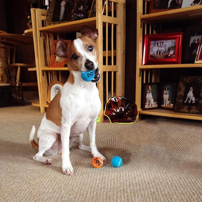 Small Tennis Balls for Dogs - 6 Pack 2.0" Squeaky Dog Balls for Small Breed, SGS Certified Non-Toxic, Interactive Fetch Toys, Perfect for Outdoor & Indoor Play