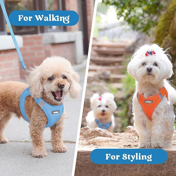rabbitgoo Small Dog Harness, Step-in Soft Mesh Puppy Vest with Safety Buckle, Breathable Reflective Pet Harness for Large Dogs, Blue XXL