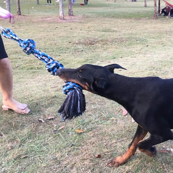 SIXRUN Spring Pole Dog Rope Toy, Rust Proof Steel, Muscle Building, Outdoor Tug of War Exercise, 38.97 Inch, for Large Dogs