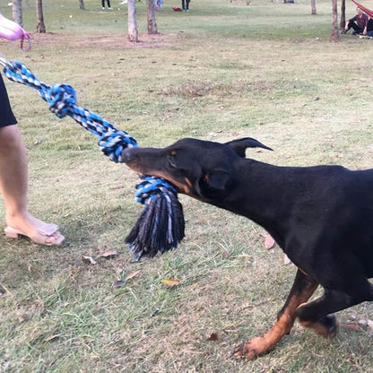 SIXRUN Spring Pole Dog Rope Toy, Rust Proof Steel, Muscle Building, Outdoor Tug of War Exercise, 38.97 Inch, for Large Dogs