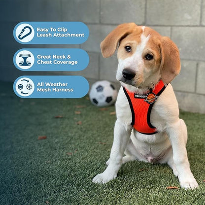 Best Pet Supplies Voyager Step-in Air Harness - All Weather Mesh, Reflective, No Pull Harness for Dogs, Cats - Secure with Hook & Loop Fastener, Buckle, Double D-Rings - Orange/Black Trim, M