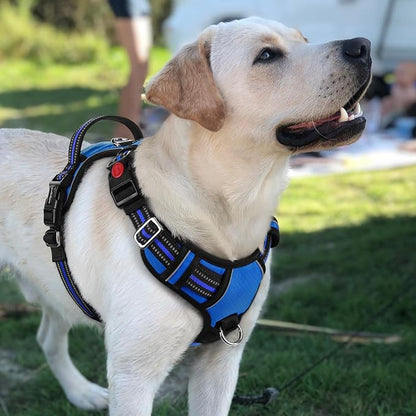 rabbitgoo Dog Harness for Large Dogs, No Pull Pet Vest with 3 Buckles, Adjustable Soft Padded Pet Harness with Easy Control Handle and Reflective Strips, Royal Blue, L