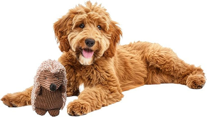 SPOT Corduroy Hedgehog Dog Toy with Squeaker, Textured Plush Toy for Small and Medium Dog Breeds, Light to Moderate Chewers, 8 Inch, Assorted Colors