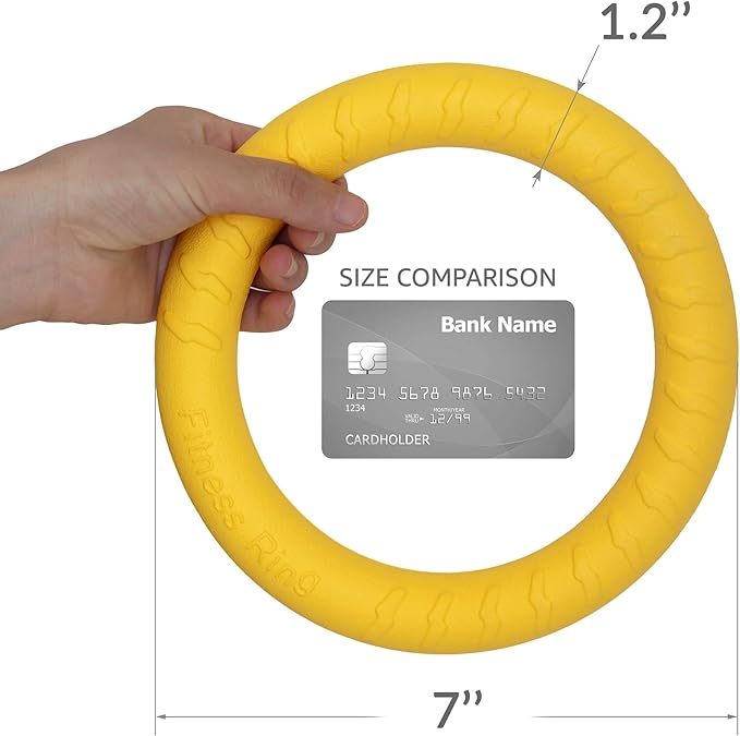 PetSpy Dog Ring Toy – Flying Ring for Outdoor Play, Floating Training & Fetch Toy for Throwing, Catching & Chewers – Durable EVA Flying Disc for Small, Medium & Large Dogs