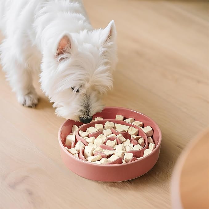 Ceramic Slow Feeder Dog Bowl - Feeding Dish for Fast Eaters - Maze Dog Bowl to Slow Down Eating - Ideal Food Control Dish for Small Breeds - 0.8 Cups (80g) - 6.3 Inch - Pink