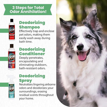 Best Shot Pet One Shot Deodorizing Spray, 16 Oz (ZX8122 16)