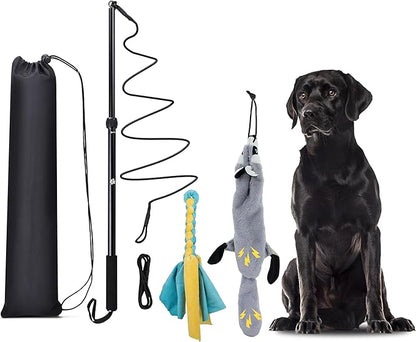 Flirt Pole Dogs, Dog Chase Toy with Squeakers Inside, Dog Fishing Pole Toy for Large Medium Small Dogs to Keep The Puppy Entertained and Physically Exhausted, Rope+Beaver