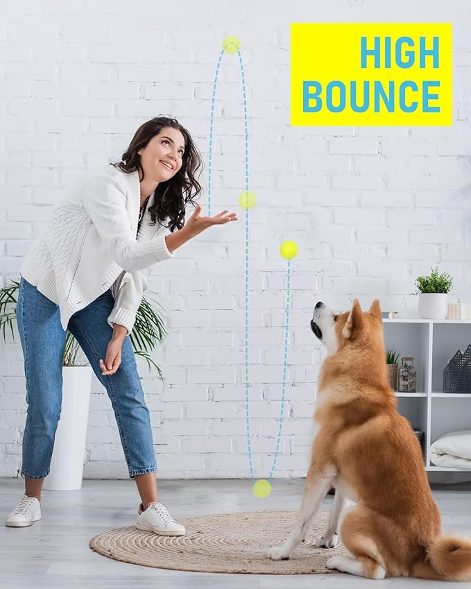 Prime Pets Tennis Balls for Dogs 3 Pack 2.5”, Durable Non-Squeaky Dog Balls with High Bounce, Interactive Fetch and Training Dog Toys for Outdoor Play, Ideal for Small and Medium Breeds