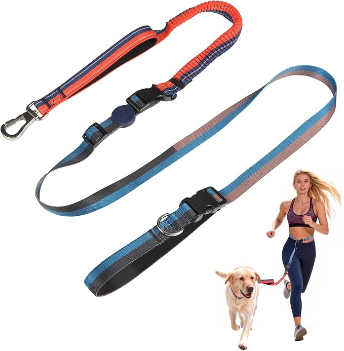 EVERKING 6-in-1 Hands-Free Dog Leash, Adjustable Elastic Reflective Nylon, Dual-Handle Shock Absorbing, 6 Feet, for Small to Large Dogs 30-150lbs (Sunset Blaze)