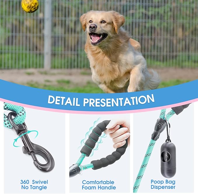 BAAPET 2/4/5/6 FT Dog Leash with Comfortable Padded Handle and Highly Reflective Threads for Small Medium and Large Dogs (6FT-1/2'', Turquoise)