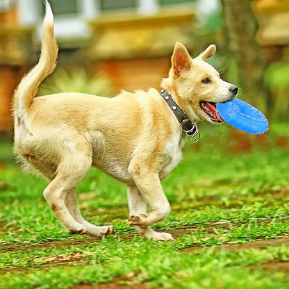 Hungdao 2pcs Puppy Teething Rings Freezable Dog Teething Toy Pet Cooling Chew Toy for Puppies Small Dogs & Medium Dog Suitable Fetch Food Relieve Dental Discomfort