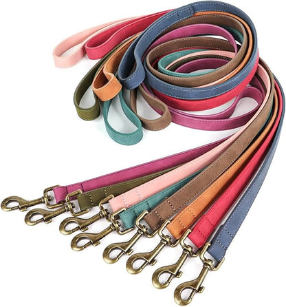 Didog PU Leather Dog Leash, Colorful Dog Leash 4ft, Strong and Durable Faux Leather Lead, Walking and Training Lead for Small Medium Dogs,Red