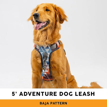Embark Adventure Dog Leash – Strong & Sturdy for Small, Medium & Large Dogs (Santa Monica, 5 Ft)