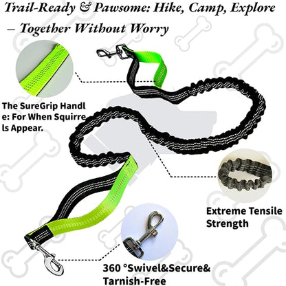 Hands Free Dog Leash for Running with Adjustable Waist Belt, Shock Absorbing Bungee & Reflective Stitching for Large Medium Small Dogs on Walks, Jogging, Hiking Training (Black)