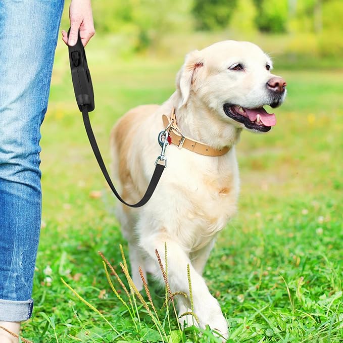 Retractable Dog Leash, 16ft Dog Walking Leash for Small Dogs up to 77lbs, Non-Slip Handle - Black