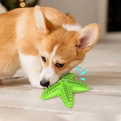 Pupix Chew Toy for Dog Aggressive Chewers Toothbrush Stick Pets Interactive Toys Tough Puppy Chew Treats for Small Medium Dogs Toy to Keep Them Busy, Green