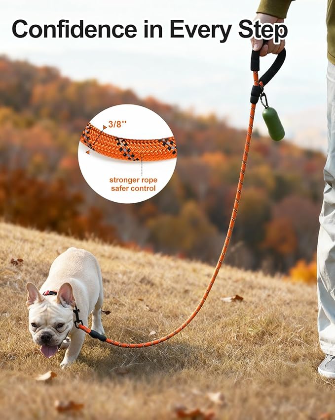 Joytale Dog Leash for Small Dogs, Heavy Duty Nylon Leashes with Comfortable Padded Handle and Highly Reflective Threads, Ideal for Walking and Training, Orange, 6'×3/8''