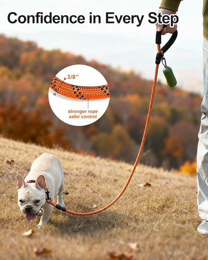 Joytale Dog Leash for Small Dogs, Heavy Duty Nylon Leashes with Comfortable Padded Handle and Highly Reflective Threads, Ideal for Walking and Training, Orange, 5'×3/8''