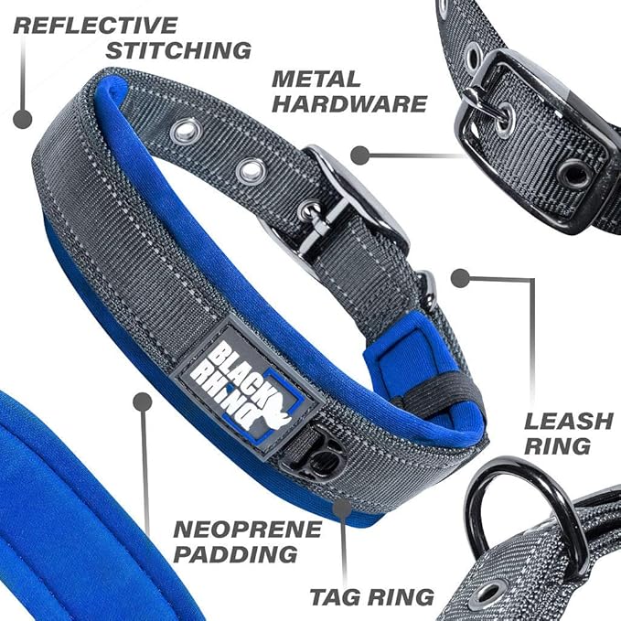 Black Rhino Dog Collars for Medium Dogs - Adjustable Reflective Heavy Duty Dog Collar with Ultra-Soft Neoprene Padding - Weatherproof, Durable, and Comfortable - Ideal for Active Dogs - Blue and Gray